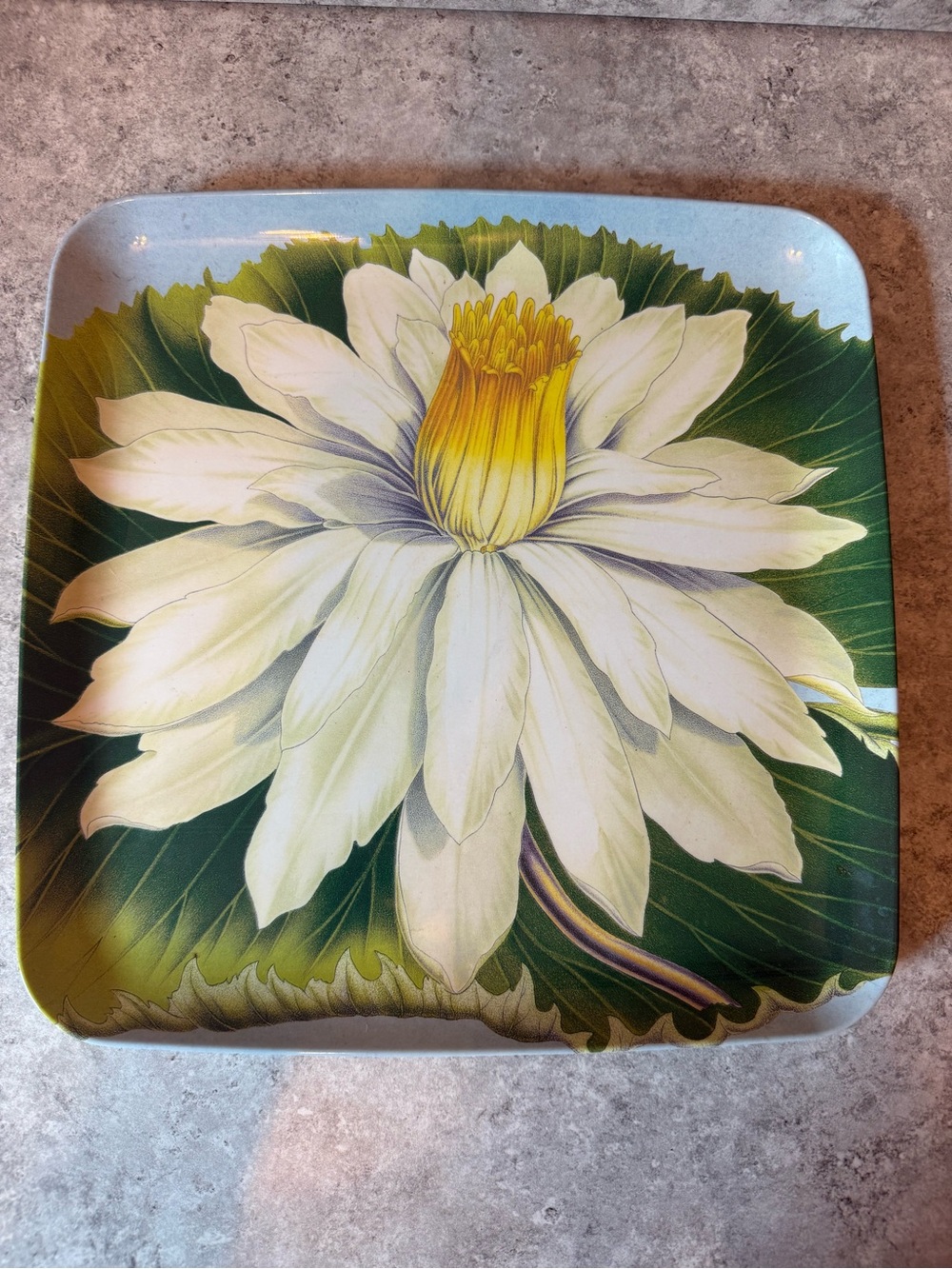 John Derian for Target Melamine Tray